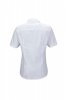 JN643 Ladies' Business Shirt Shortsleeve James & Nicholson